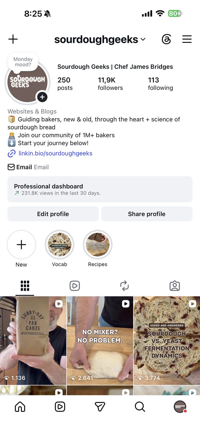 Sourdough Geeks Instagram after